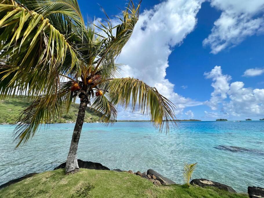 Waterfront Paradise 2 Br; Stunning Sunsets Bora Bora Extérieur photo